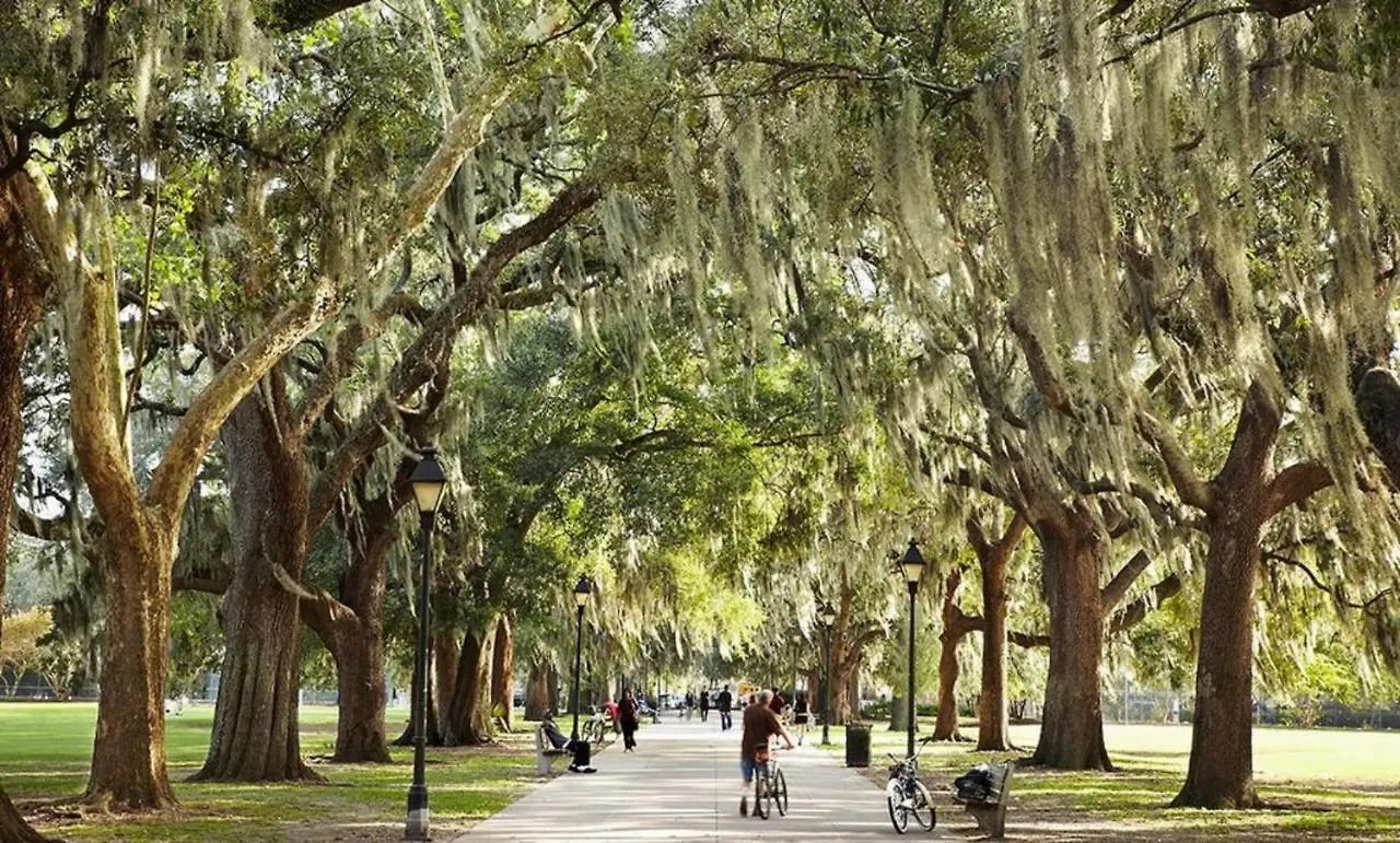 סוואנה Walk Score 90!!-Historic Downtown District-2 Blocks To Famous Forsyth Park- Huge Private Patio-Private Parking בית נופש